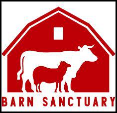 Saved By the Barn